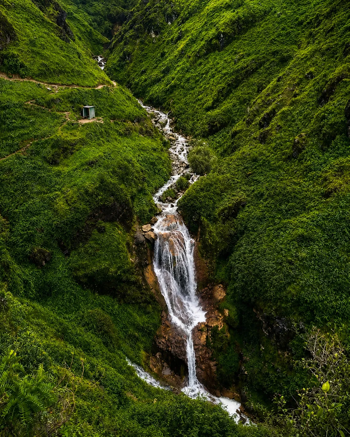 Achacocha
