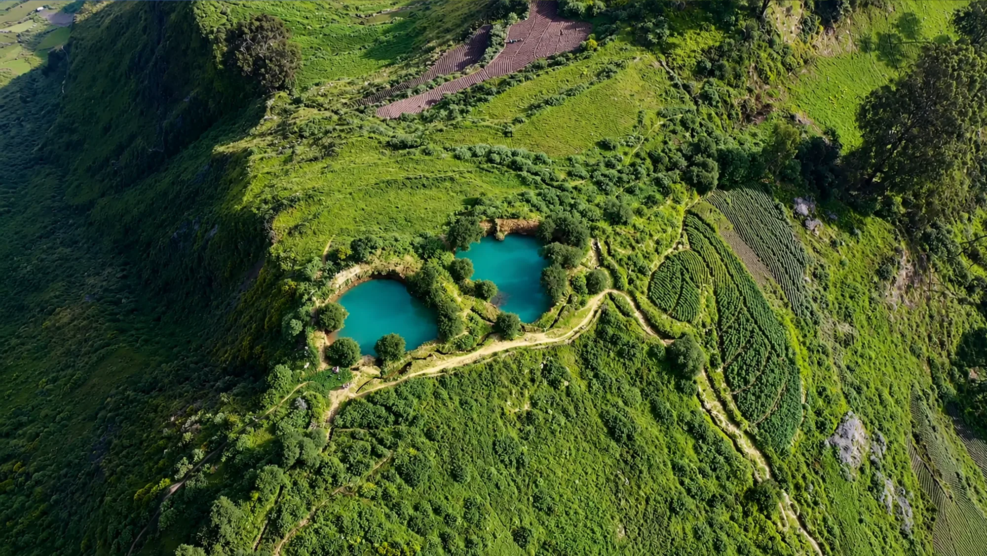 Marachanca